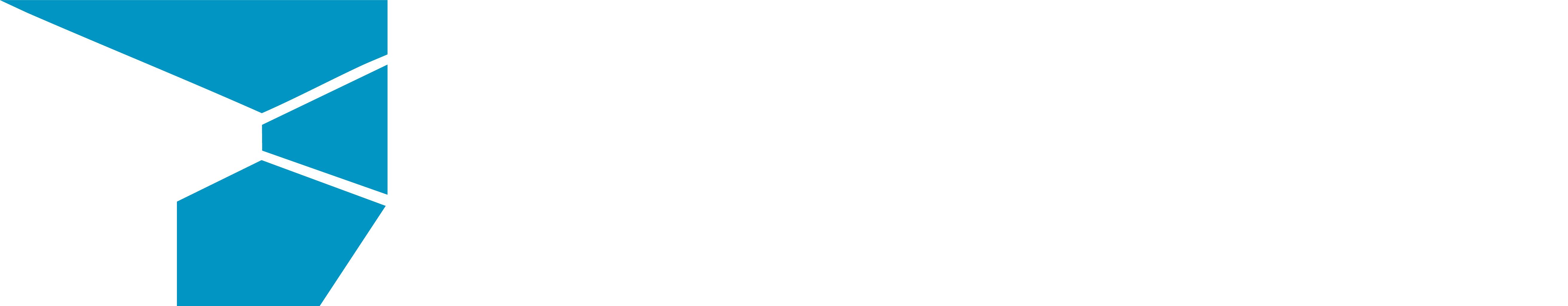 FERRI